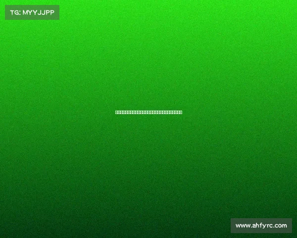 德甲联赛深度分析：球队表现、球员转会及未来发展趋势展望