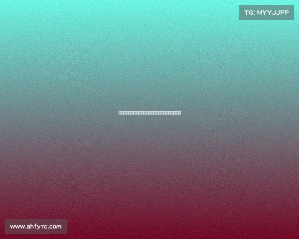 德甲升班马崛起之路：新贵如何在顶级联赛中生存与突围